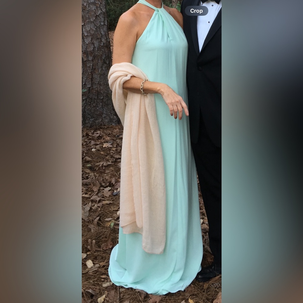 Daniel Cremiex mint green evening gown.